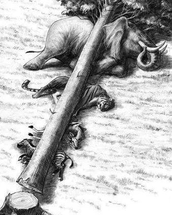 AmazingNature00's tweet photo. Anyone can explain this https://t.co/4OU9vXublD