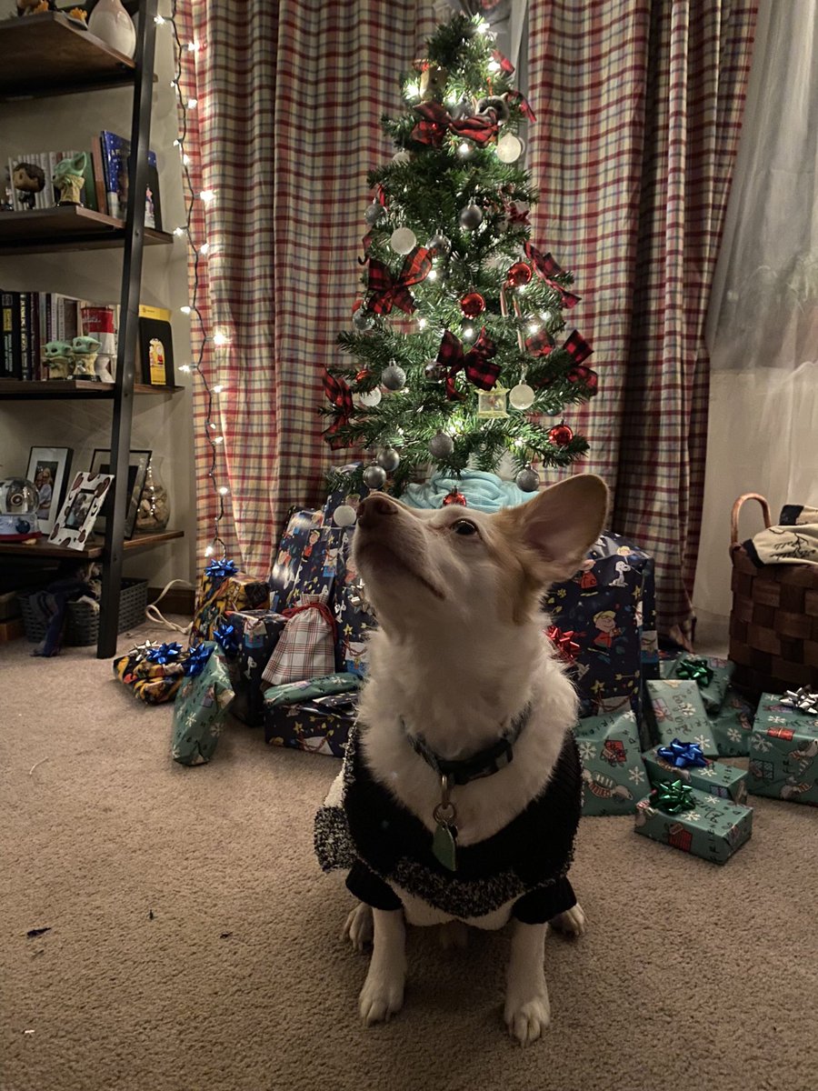 awhannahs's tweet photo. merry christmas, loves ❤️ https://t.co/WbXNrk5sdU