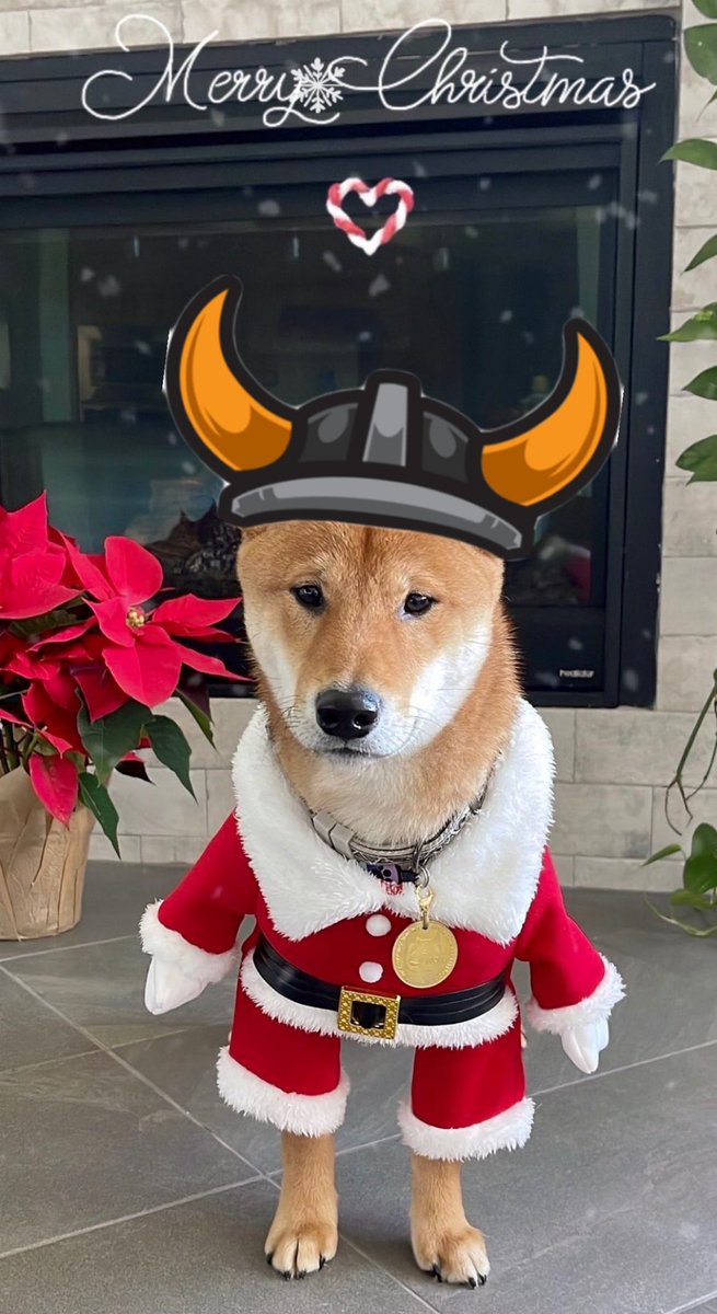 y0merone's tweet photo. @elonmusk 😏😏😏 https://t.co/IeJdU4gqSp