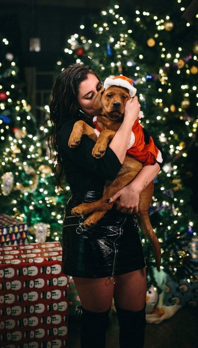 Merry Christmas 🎅💖