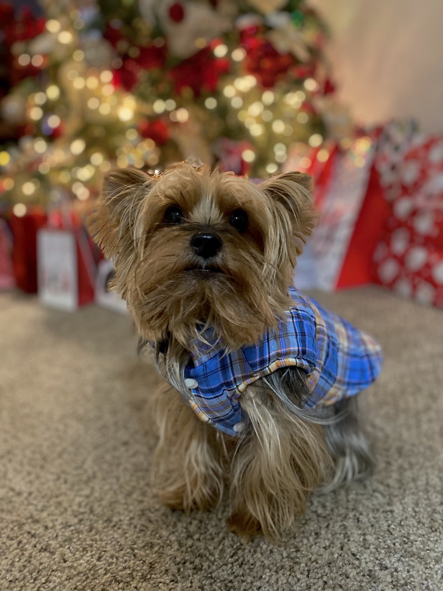 NicoleeBall's tweet photo. My best Christmas gift since 2012 https://t.co/3KHZqe6gWf