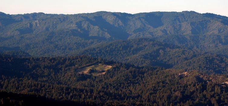 Big Basin Vineyards tweet media