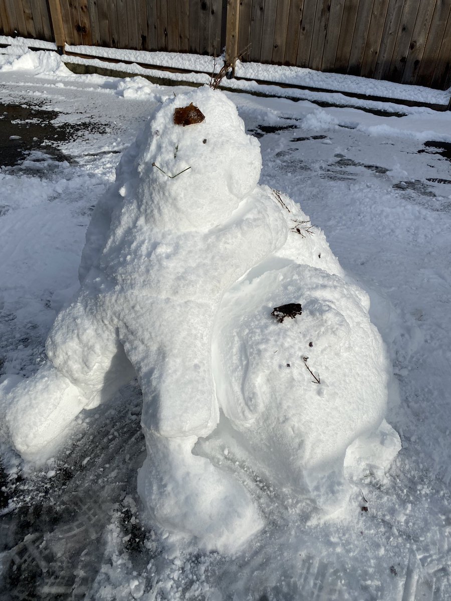 oh__ashi's tweet photo. Merry Xmas! #SnowMan #SnowManと #ohashicomic #dog #webtoon #MerryChristmas2021 https://t.co/b0bTwRqWOg