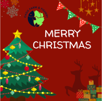 Oasis Farm & Fishery tweet media