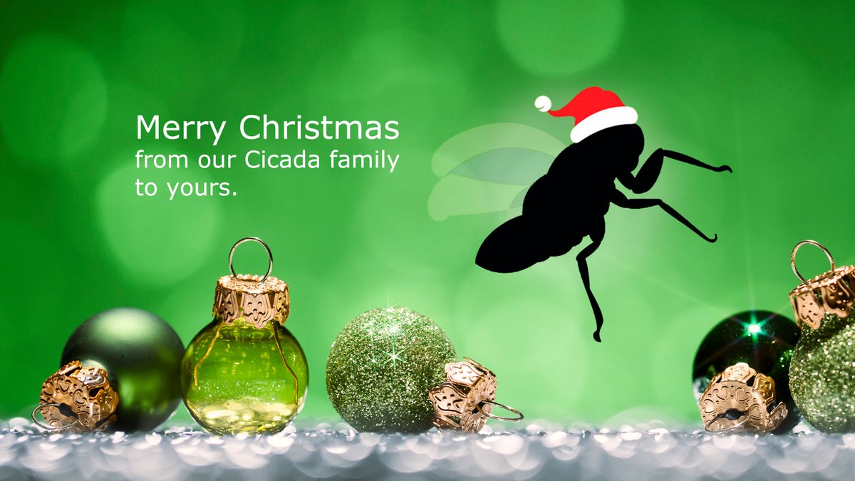 CicadaGraphics tweet picture