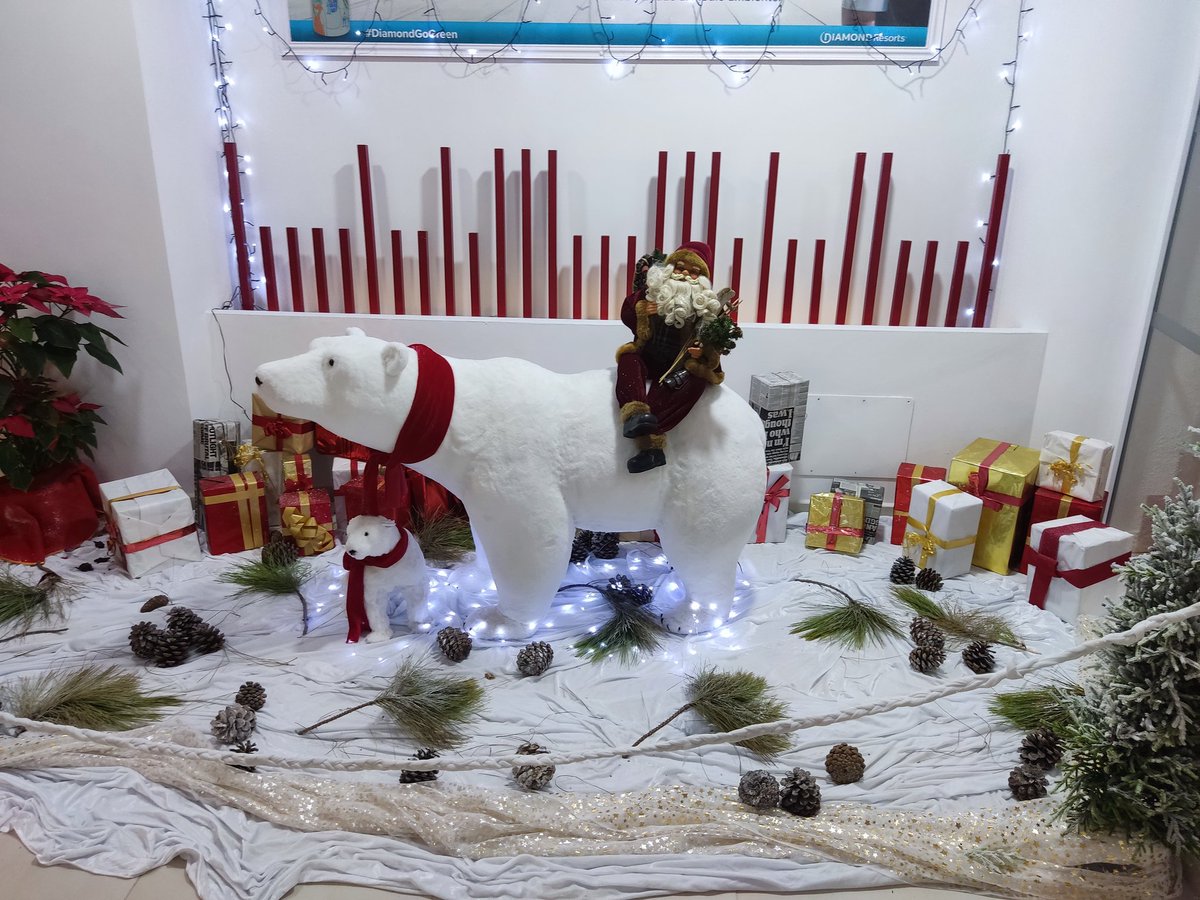 What has Father Christmas  brought you today???