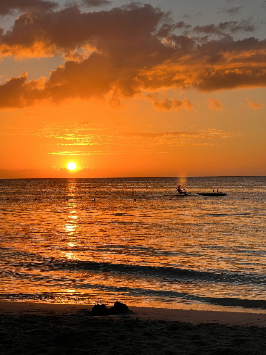 This is how happy I am, watching sunset on a Caribbean beach, drinking the 2018 Clos Stegasta Rare Assyrtiko from <a href="/T_Oinos/">T-Oinos</a> We may not be in Greece but we always bring a bit of Greece with us. And how delicious this wine is 💯 😍🤤
#greekwine #assyrtiko #toinos