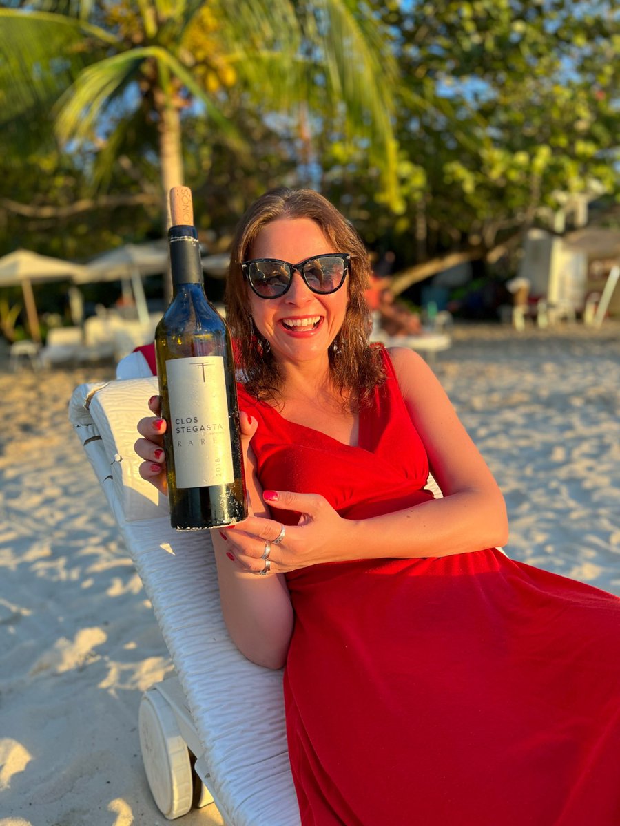Lenkster's tweet photo. This is how happy I am, watching sunset on a Caribbean beach, drinking the 2018 Clos Stegasta Rare Assyrtiko from @T_Oinos We may not be in Greece but we always bring a bit of Greece with us. And how delicious this wine is 💯 😍🤤
#greekwine #assyrtiko #toinos https://t.co/9BYFkBd9bQ
