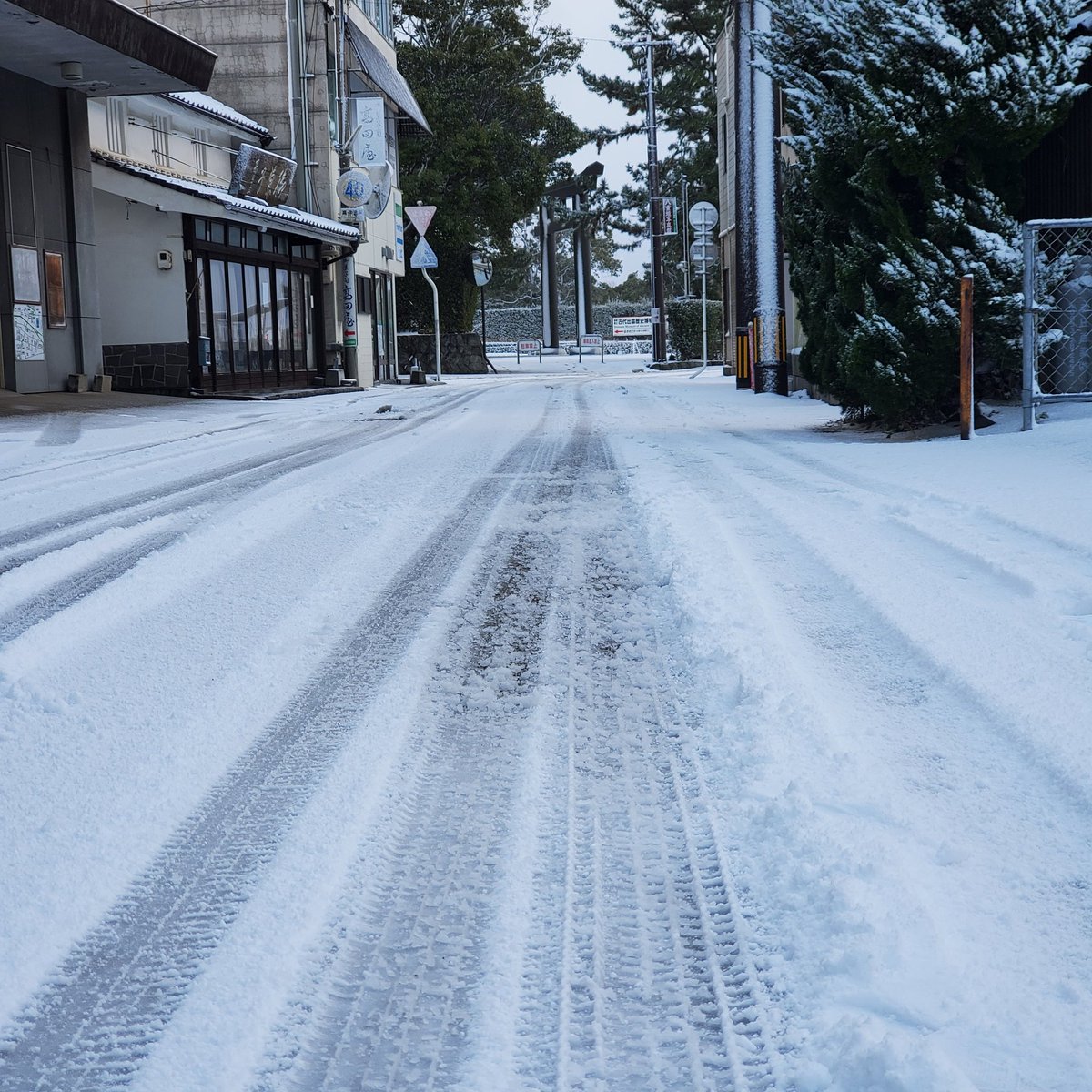 izumotk's tweet photo. 出雲大社周辺もご覧の通りの積雪です⛄

「自宅にいながら食べ歩き」
門前出雲そばセット好評販売中！
年内お届けのご予約は本日までとなっております。詳しくはIZUMO GIFTをご覧下さい！

https://t.co/vBhtZxFt6y
#出雲大社 #年越しそば #出雲そば #積雪 https://t.co/cz5GHUHnIq