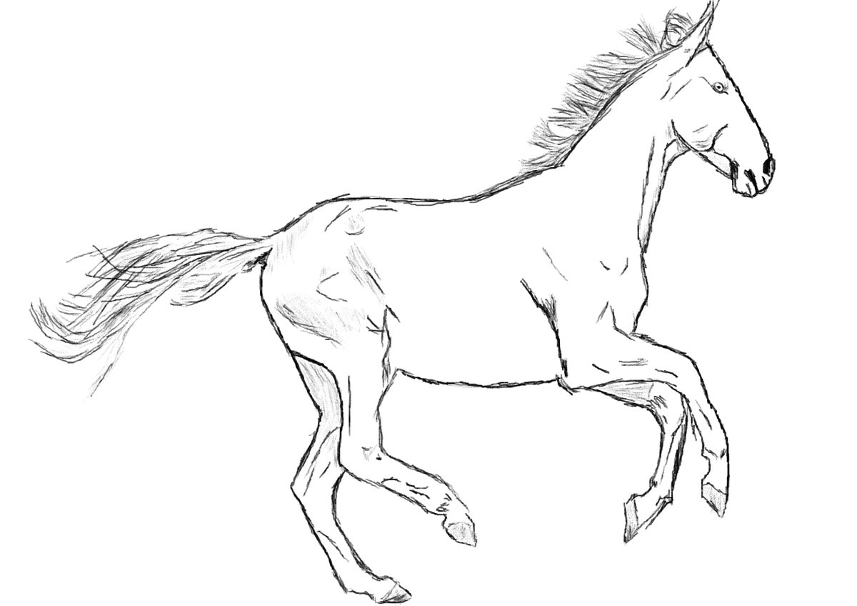 smtrbcinft's tweet photo. I'm a Horse, I love running
=========================
@opensea
@NFT
=========================
https://t.co/7ywL8KNAQK
=========================
#nft #nftart #crypto #bitcoin #blockchain #btc #ethereum #cryptoart https://t.co/O6pY0uNJIF