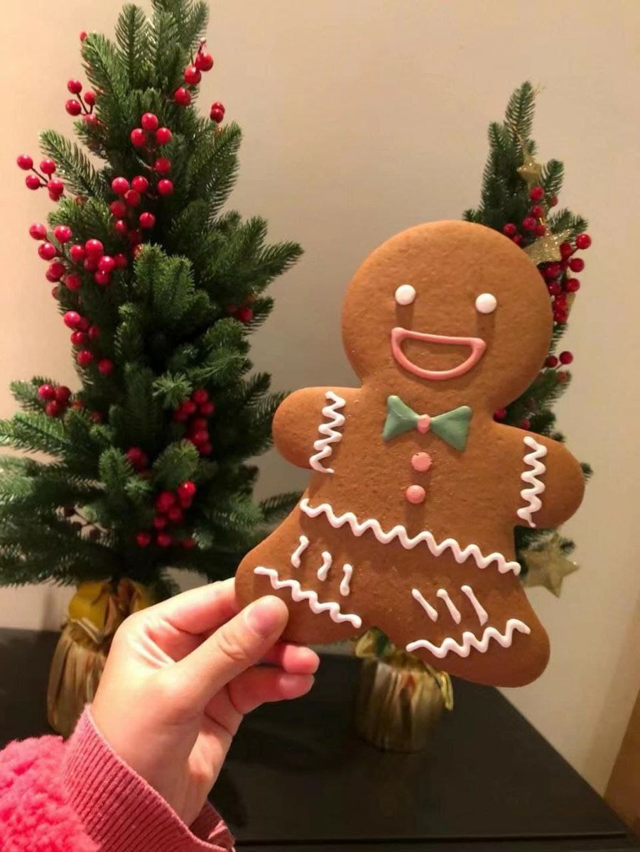 Rainicrypto's tweet photo. Merry Christmas. https://t.co/lb7LpALHJl