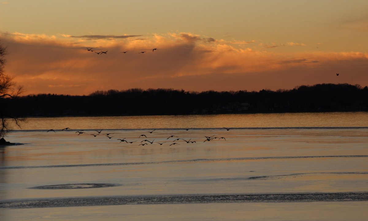WissaintSt's tweet photo. Even the eagles had to pause their fishing activities on Lake Waubesa to marvel at the beauty and majesty of the Christmas Day sunset. Wishing you and your family a very #MerryChristmas! https://t.co/yxSaia5l2r