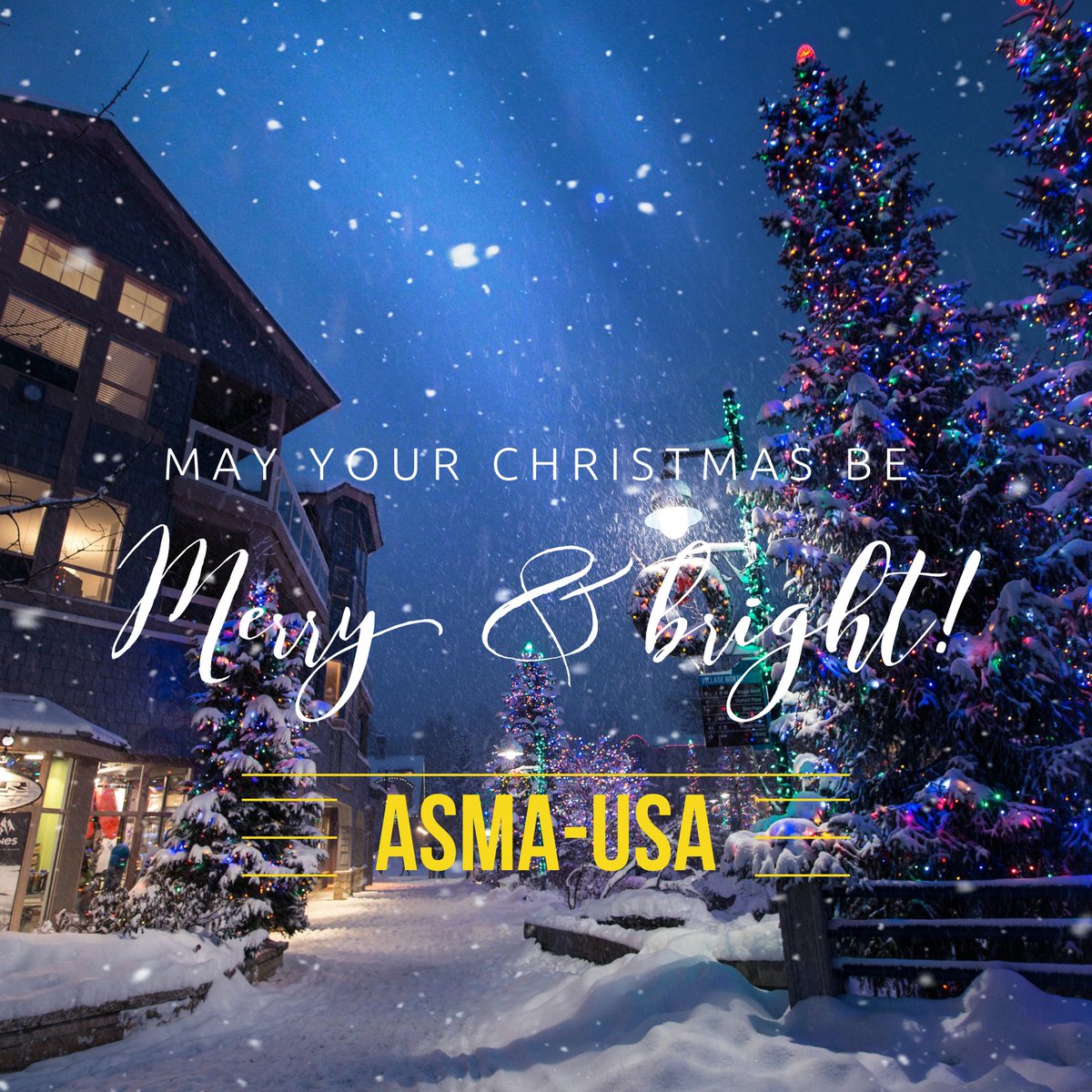 All of us at ASMA-USA wish you a very Merry Christmas! 🎄⛄️ 🎁 #asmausa #safesealcoat