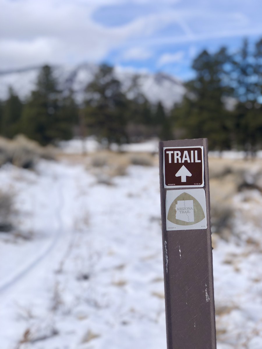mattmcgrathaz's tweet photo. Winter, spring, summer, or fall, rain, snow, or sun, holiday, workday, any day⦠chances are you can find me on the Arizona Trail. #mtelden #picturecanyon #ilikebeingoutside #trailsign #eastsideisthebestside https://t.co/ToJ4G5Oq24