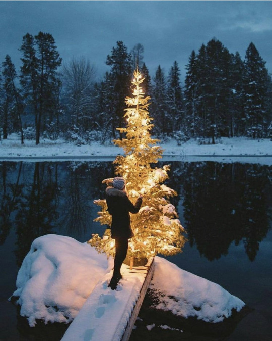 Always_Me_Jeff's tweet photo. Feeling an overwhelming sense of loss this Christmas season, seems to come in waves that keep getting taller. With each wave, I feel less and less likely to keep it all inside. #goingthroughthemotions #knowingthiswillpass #dinnersoon #caesarslater https://t.co/GGgSvc3ovG