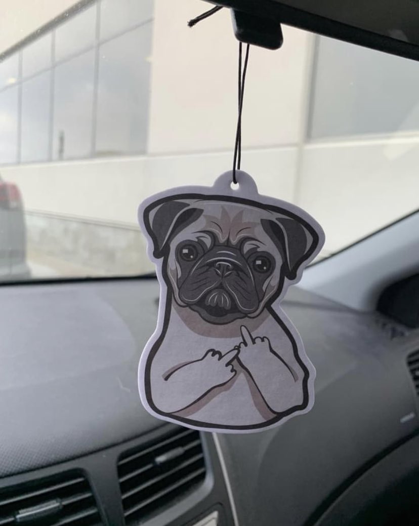 Pug_L1fe's tweet photo. Merry Christmas! 🎄 🐾 X #puglife https://t.co/qwmMcMfT1S