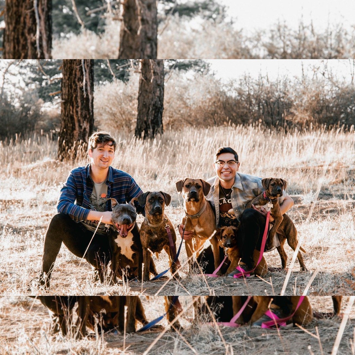 "Happy Pawlidays from our family to yours!🐾" Tag us in your Subaru Holiday cards! (📸: @discoverlife97)