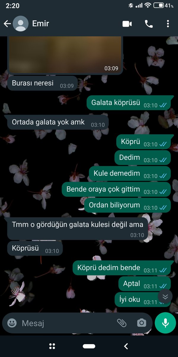 Kardeşime oranın köprü olduğuna ikna etmeye çalışıyorum🤦🏻‍♀️