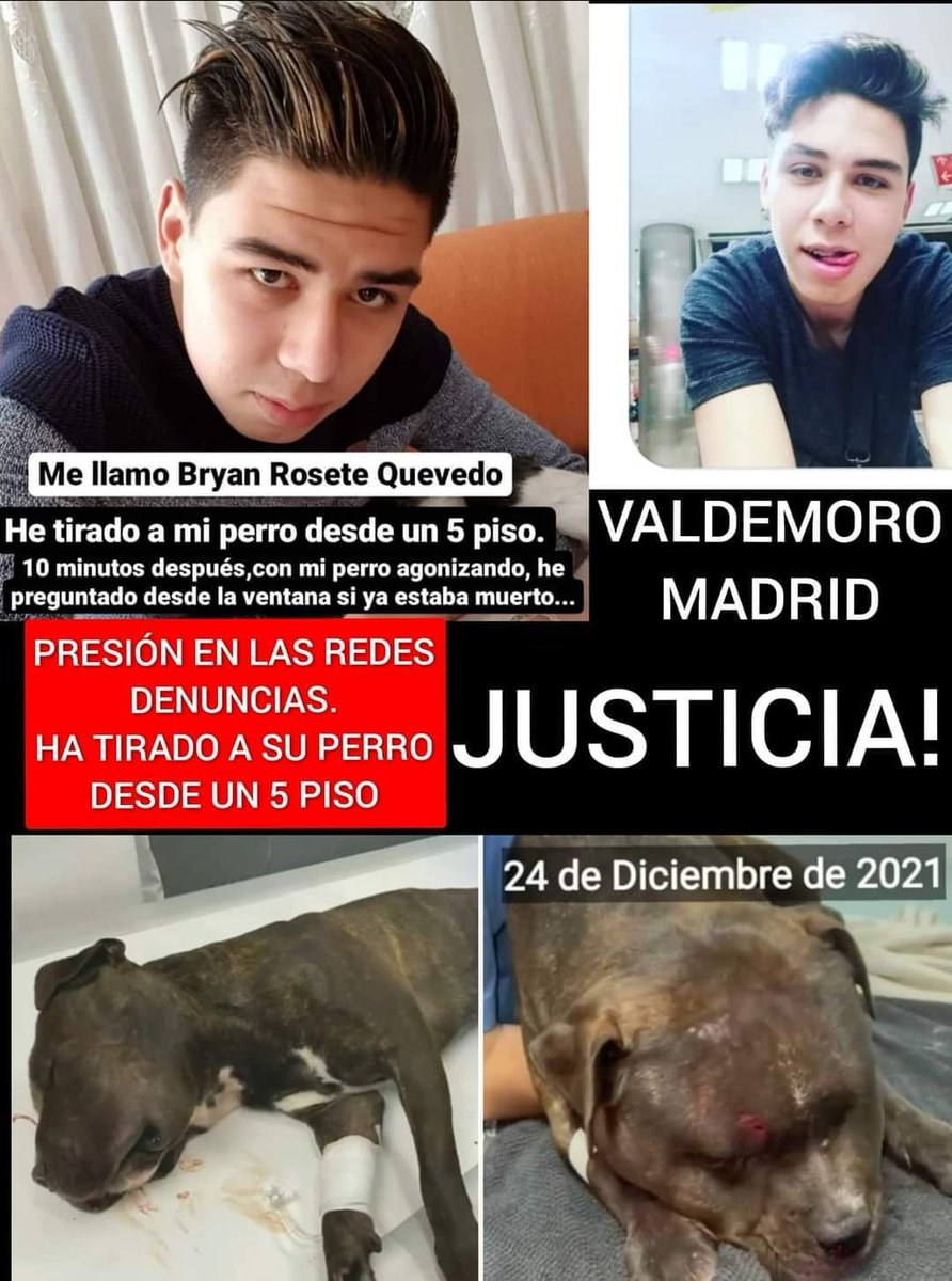 Grace51160615's tweet photo. RT si quieres justicia 🙏 https://t.co/UhaecgBkph