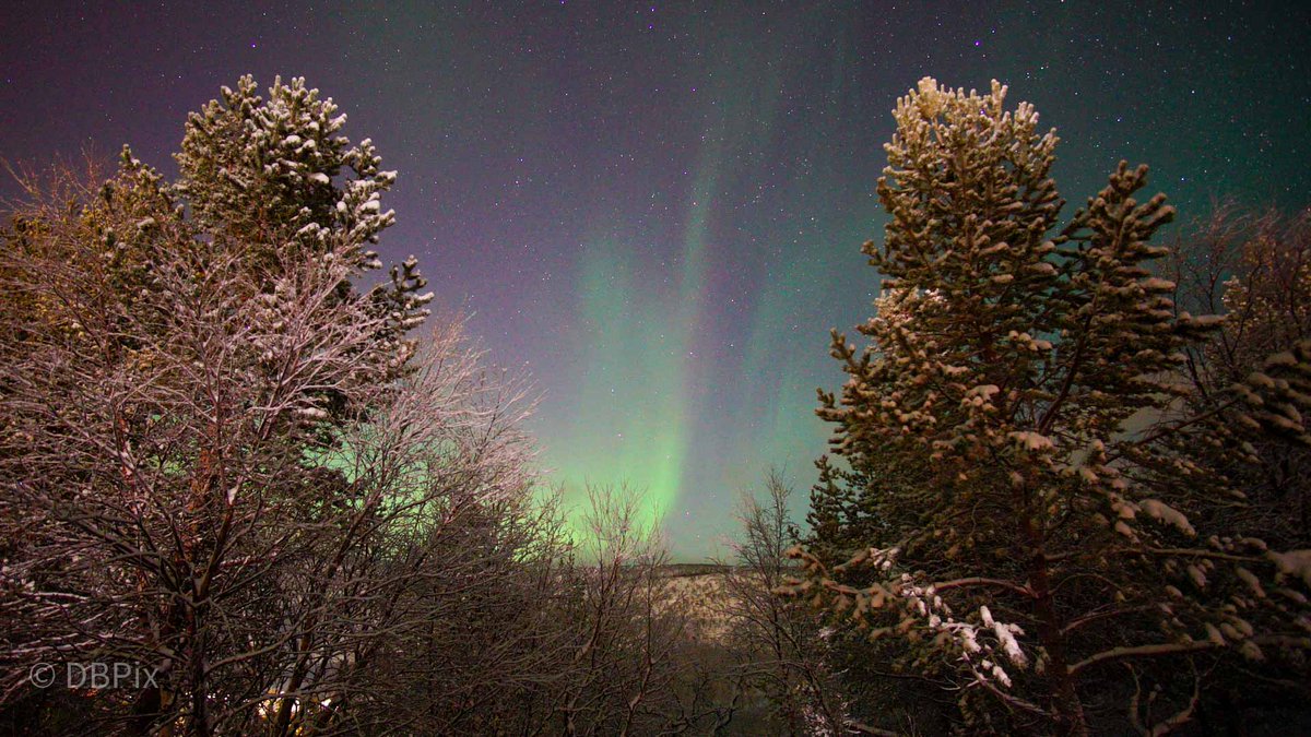 #christmasdayaurora.
Early evening snow gave way to a planetarium of #Stars
#Christmas #Aurora #northernlightsphotography #ASTRO #stormhour <a href="/TamithaSkov/">Dr. Tamitha Skov</a> <a href="/chunder10/">James Rowley-Hill</a> <a href="/owenhumphreys1/">Owen Humphreys</a>