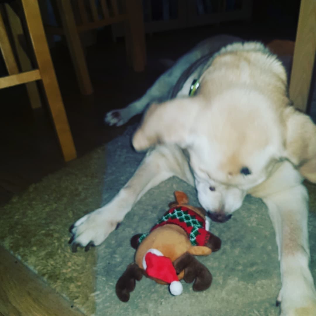 I hope everyone has had a good Christmas. I for one can't wait for a chilled out week before the chaos of a new term. Thank you too all our family/friends for the well wishes, gifts &amp; cards, plus to my husband for whipping up a smashing Christmas Lunch! ❤#MerryChristmas2021