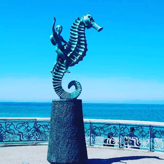 centro-gourmet.com.mx