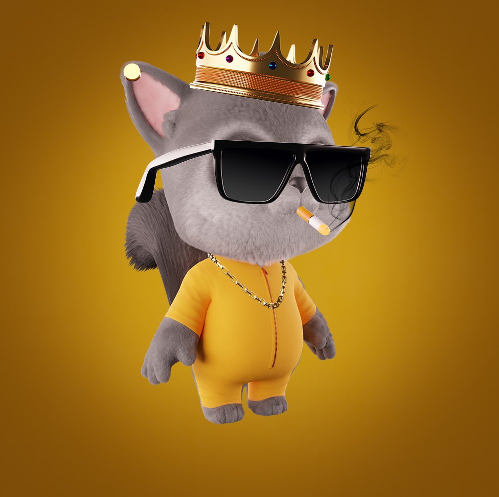 RacConsNFT's tweet photo. @fancydude8 Give our cute but dangerous fellas a go 😽 https://t.co/4Et0jCxzjL