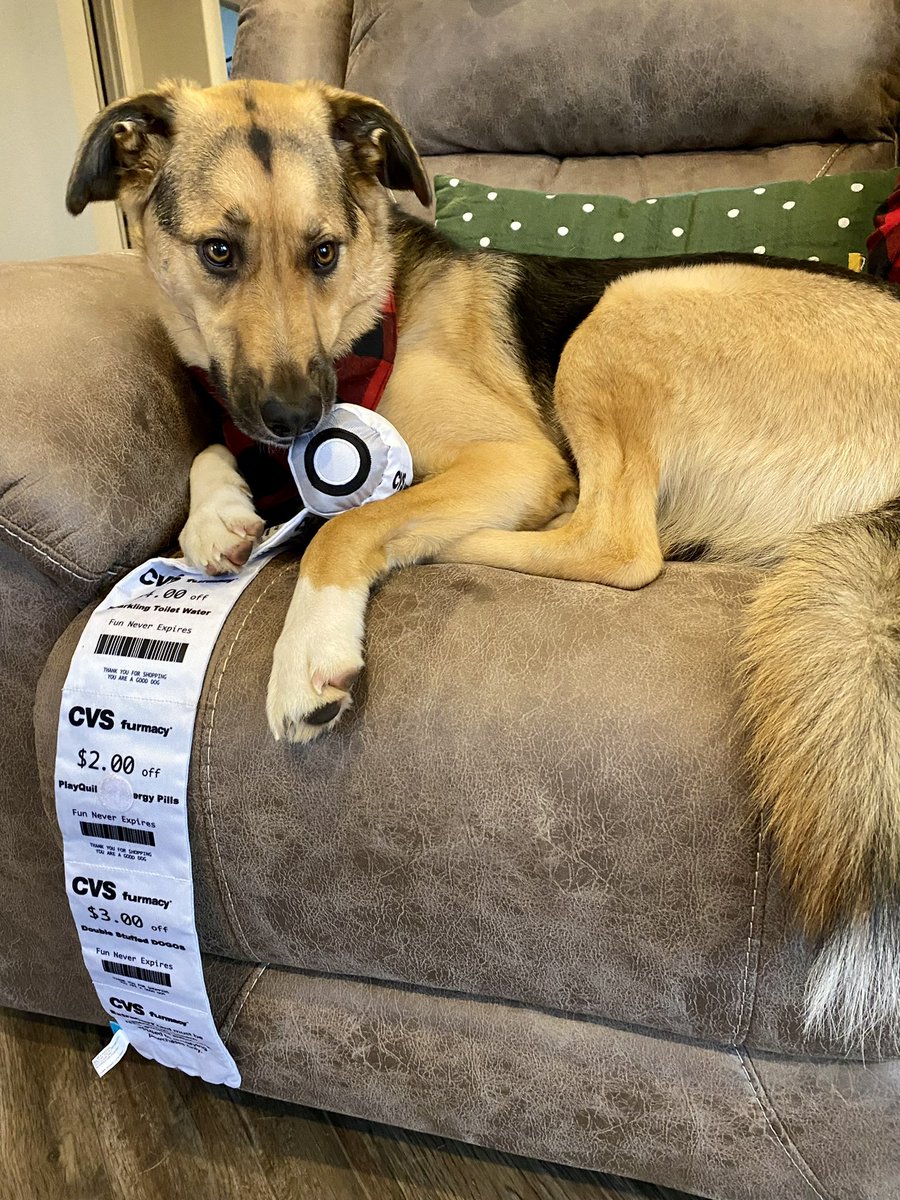 Mickey Anderson tweet media