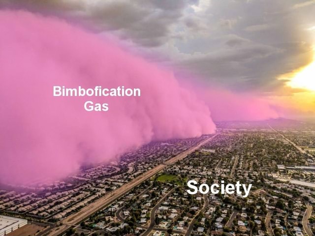 BetterBimbos's tweet photo. https://t.co/ApurvCCCQv