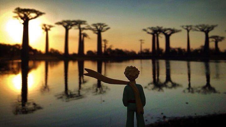 iPrincipito's tweet photo. Coloquemos un hilo de puestas de sol... https://t.co/zjiJ2NcfM7