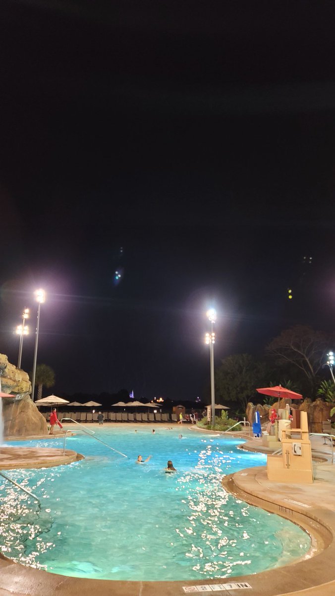 Christmas has taken a <a href="/BayLakeSociety/">Bay Lake Society</a> turn.   Aloha.