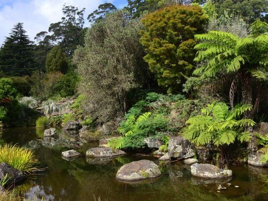 Did you know the Blue Mountains Botanic Garden is the only botanic garden anywhere in the world located within a United Nations World Heritage Area?