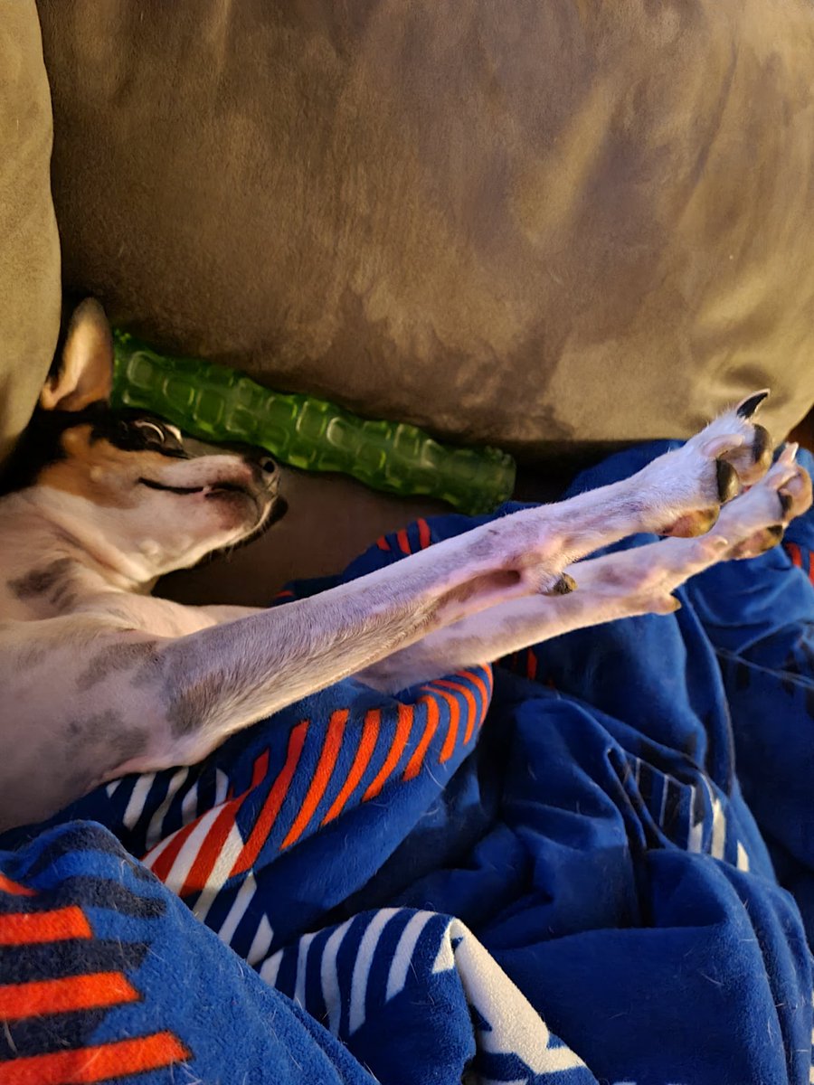 TeaRevN's tweet photo. Merry Christmas everyone! So far I have decided to take a breather. With a long stretch. Lol no stream but no worries. https://t.co/wXA5pw9mLx