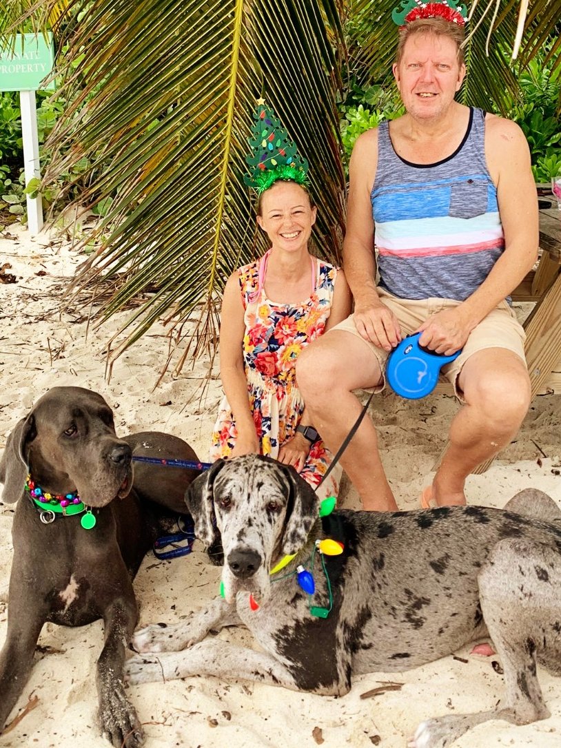 MiriDane's tweet photo. Merry Christmas Twitter-ers!  #greatdane #christmas #beachlife https://t.co/U3ftqCnbbF