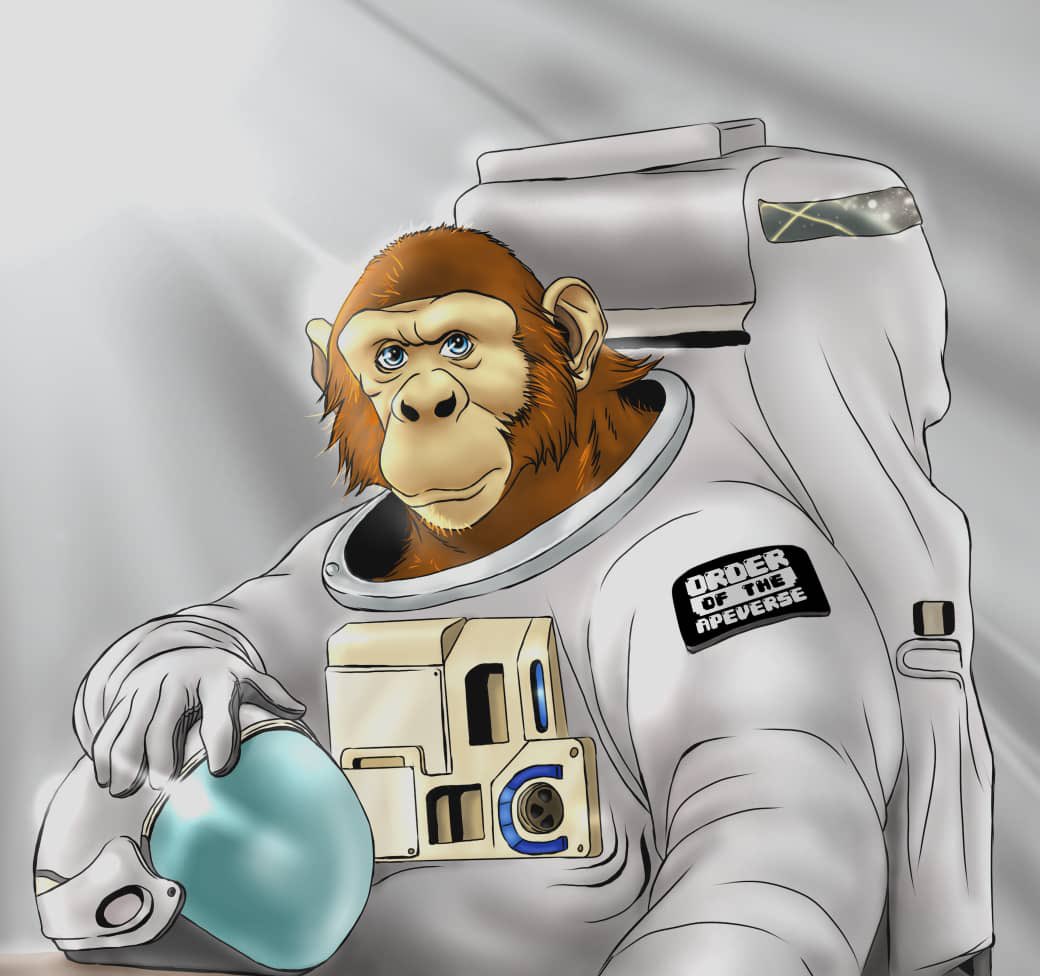 Order of the ApeVerse tweet media
