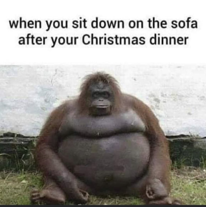 KPHockeyNews's tweet photo. #ChristmasDinner 🍽🍷 https://t.co/ZwdZnumkRn