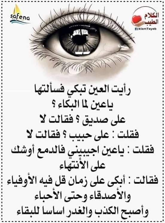 خالد السيد (@khaled15266796) on Twitter photo 