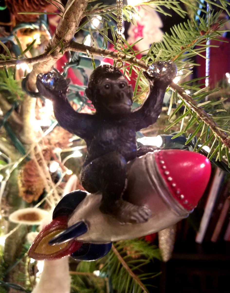 Deus lux mea est ⭕️🦍💎 (Mi1esDeiSum) Twitter