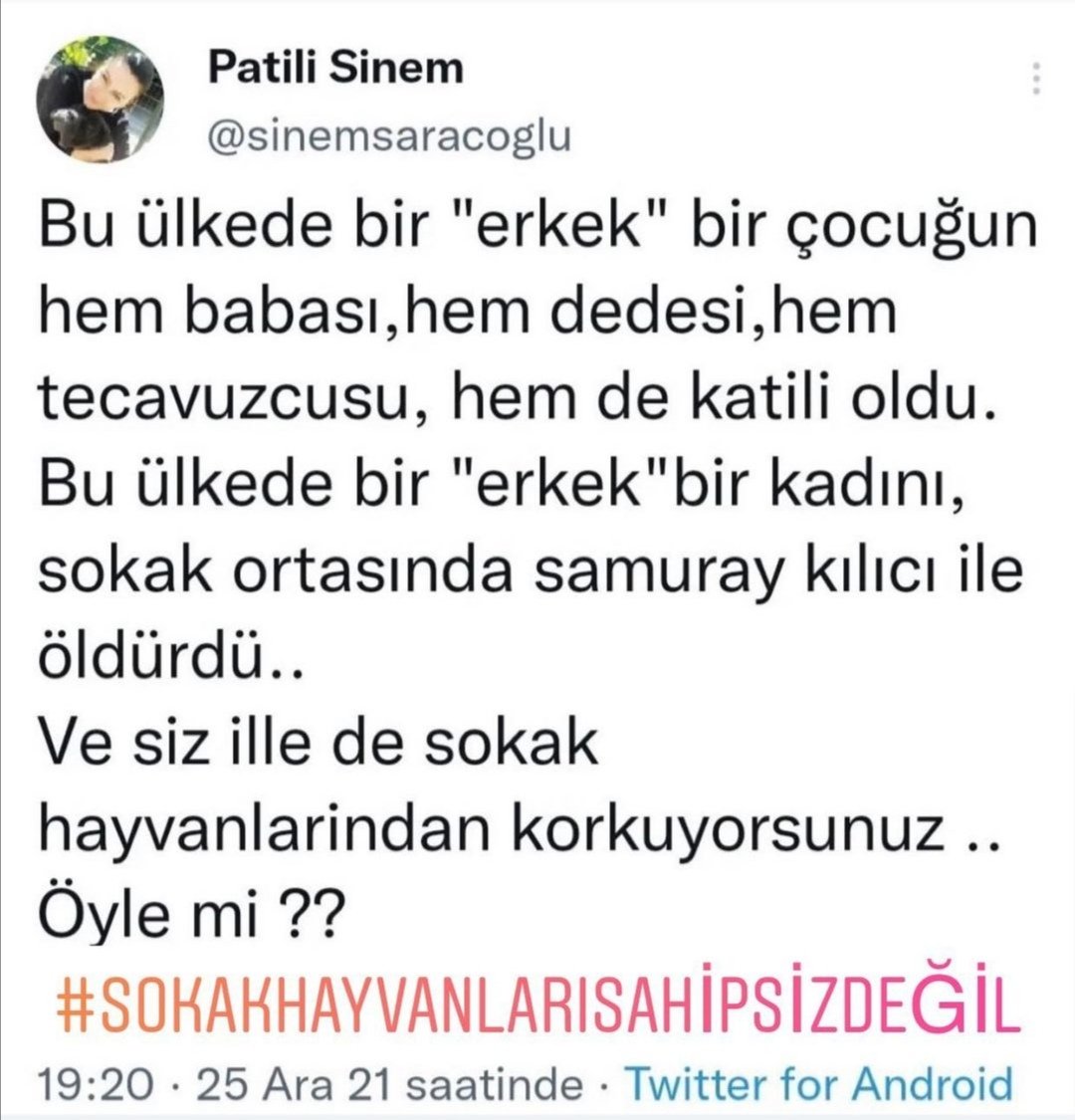 SdMete's tweet photo. #SokakHayvanlarıSahipsizDeğil
#sahipsizlerinsahibiyiz https://t.co/3kqjUWTRoS