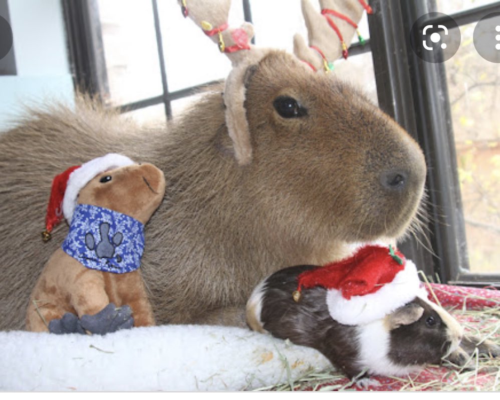 Merry Christmas! 🎄🎅🏻