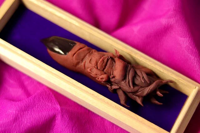 中身はこし餡！「両面宿儺の指」を再現した和菓子がリアルすぎると話題に！