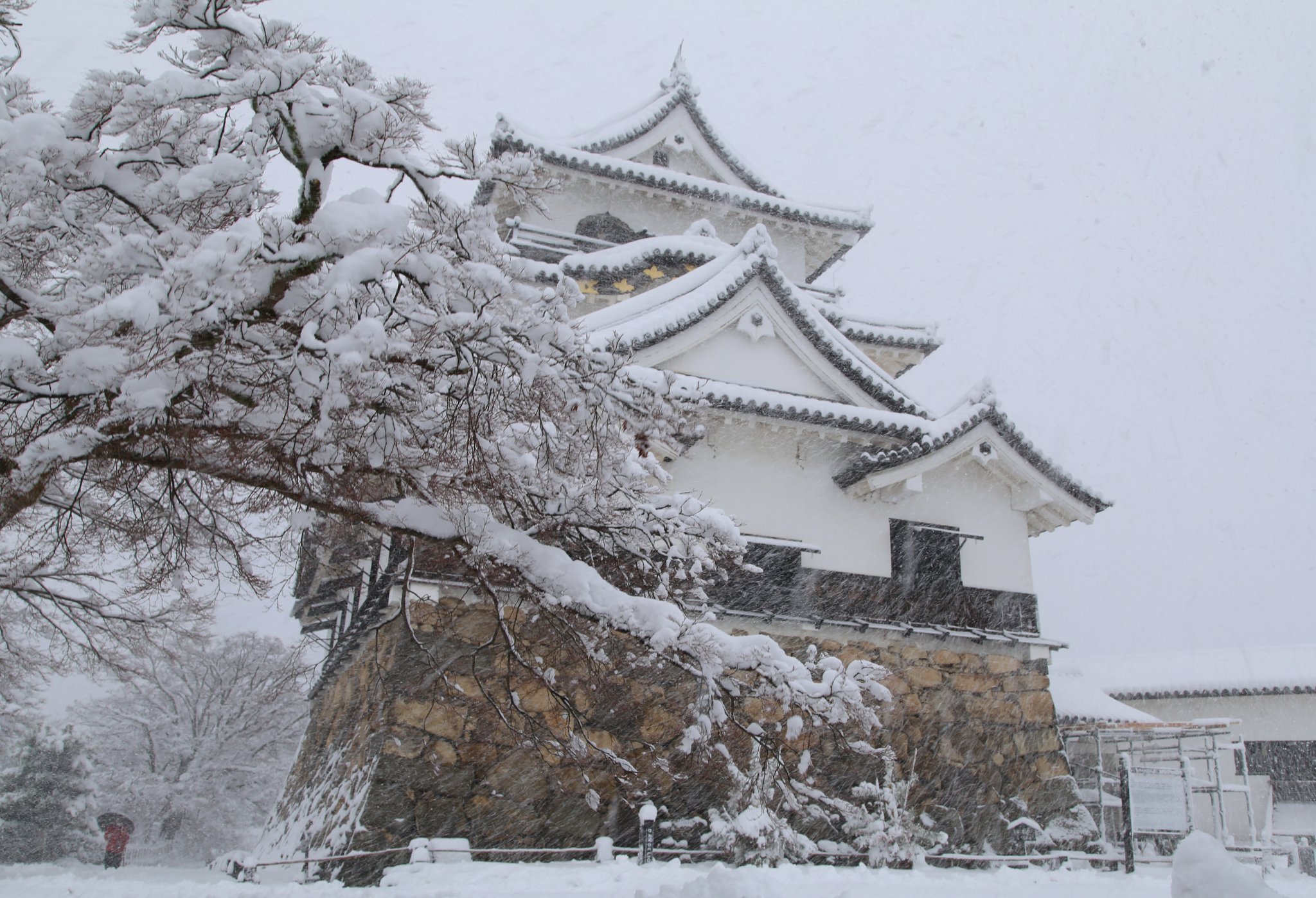 彦根城内 鐘の丸売店 公式 21年12月26日 日 雪化粧した国宝 彦根城 彦根城 T Co Hebuhcy8fx Twitter