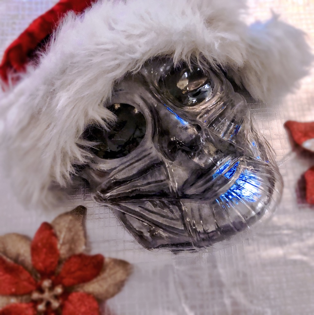 VaxisnateUrKids's tweet photo. In this household we observe a @codeorangetoth Christmas https://t.co/gen3qDNBUx