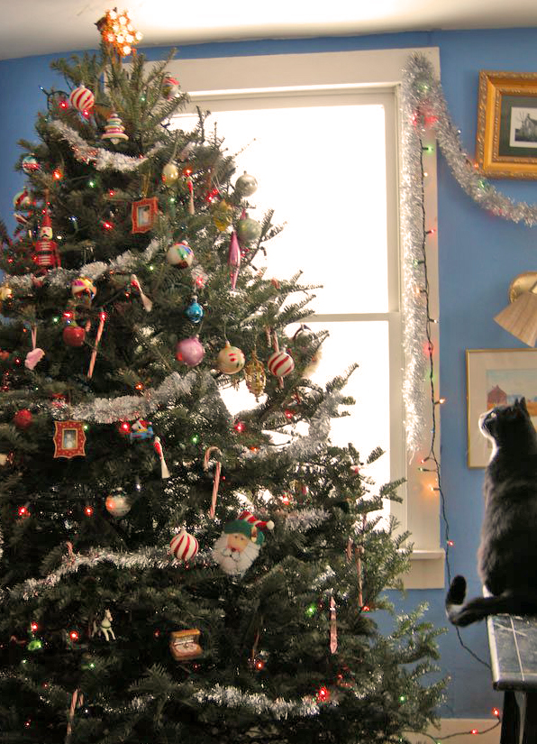 LorenzoTheCat's tweet photo. A Christmas Miracle---my friend Larry found a live mouse in his Christmas tree! https://t.co/AEyujzZ9sg