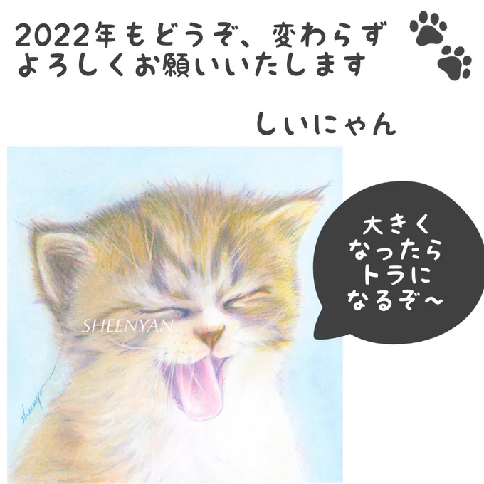 例年のごとく、年末年始はバタバタすると思うので…😅

こちらでご挨拶に変えさせていただきます、今年もありがとうございました🙇🏻‍♀️✨

来年も仲良くしていただけたら幸いです🙏🍀

Says the dreaming kitten😻
I'm going to be a Tiger, when I grow up 🐯💕

#3色 #色鉛筆画 #色鉛筆3色 #干支 #寅年 