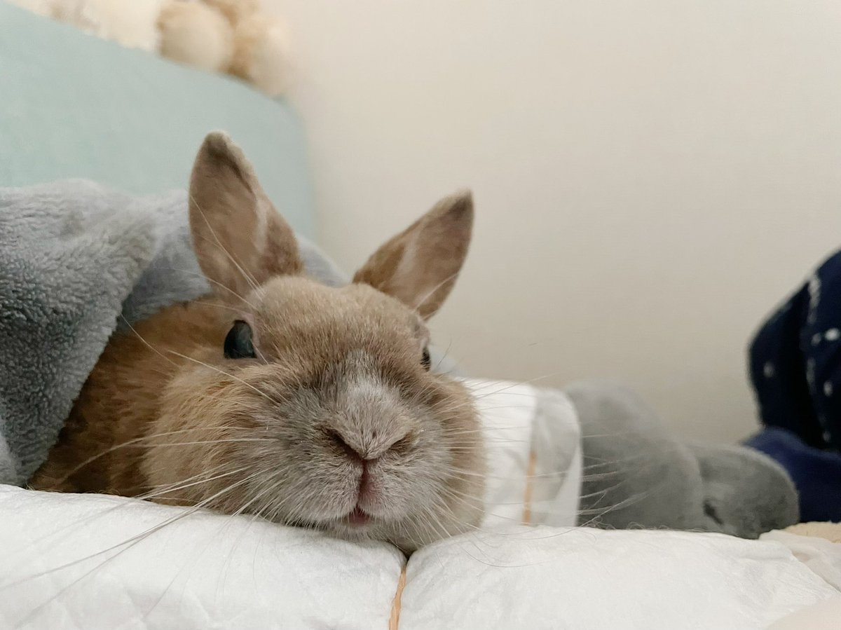 毎朝横を見たら君がいる

ｵﾊﾖᙏ̤̫͚♡⃜