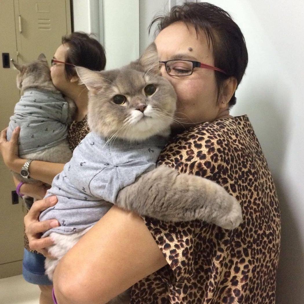 Характеристики и особенности