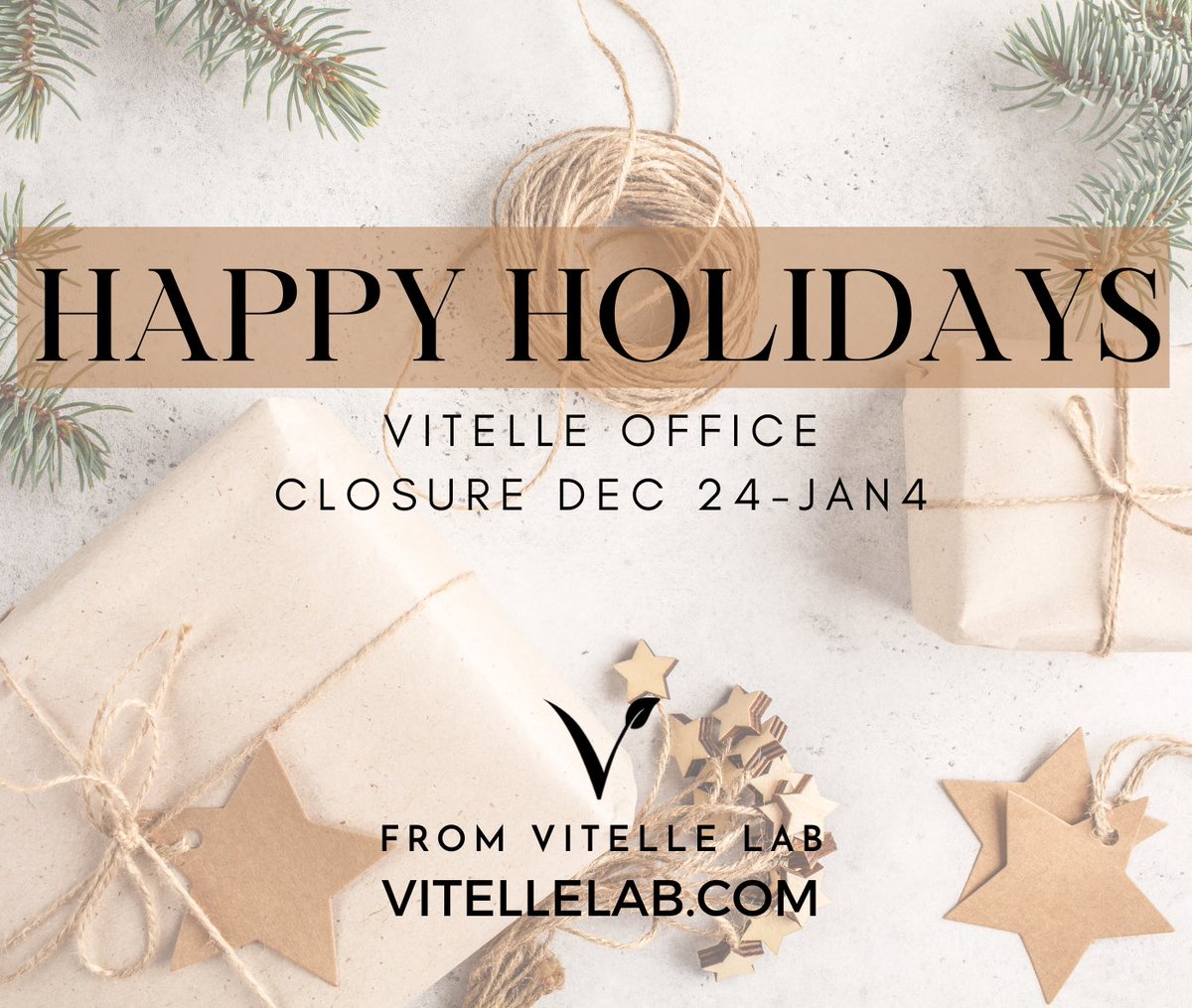 VitelleLab's tweet photo. Merry Christmas and Happy Holidays from all of us at Vitelle 🌟 https://t.co/44fqYPwuKU