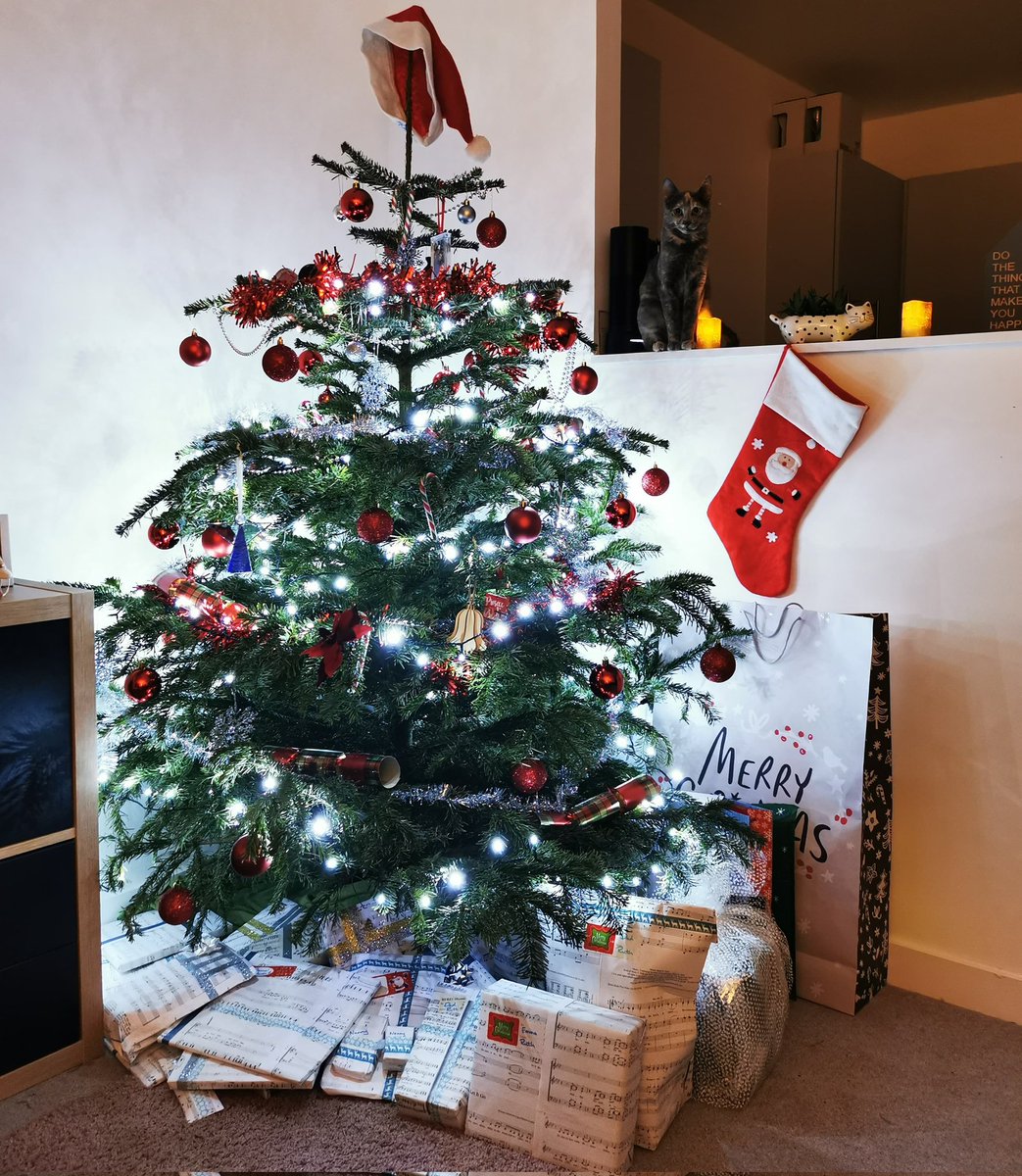 EdinburghRuth's tweet photo. @HappeLab Meer Christmas from Tilly watching over the tree and presents https://t.co/qAjnXIlfJF