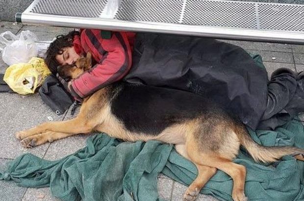 Sokak çocukları diye bir şey yoktur Sokak hayvanları diye bir şey de yoktur Sokaklar ne çocuk doğurur, ne kedi ne köpek.. #SokakHayvanlarıSahipsizDeğil